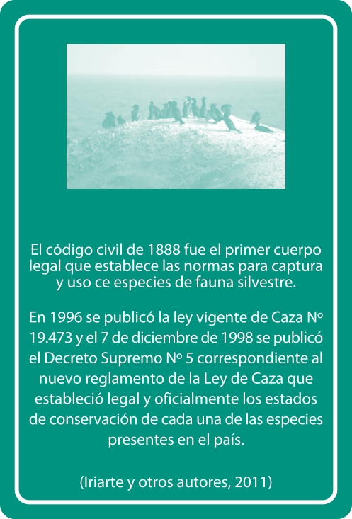 Portada Reverso